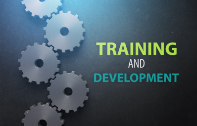 Training & Development