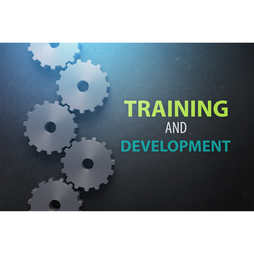 Training & Development